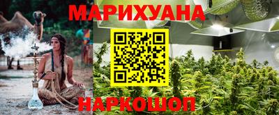 крисы Ливны