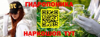 крисы Ликино-Дулёво