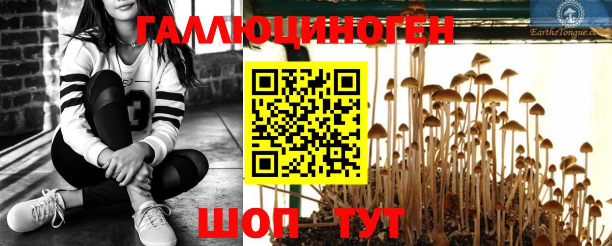 Галлюциногенные грибы ЛСД  Вход с VPN  Вязники  закладка  Галлюциногенные грибы Psilocybine cubensis 
